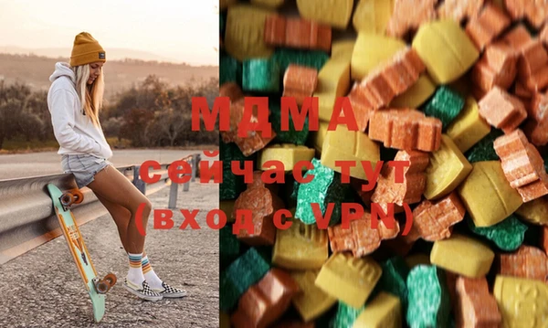 гашик Няндома