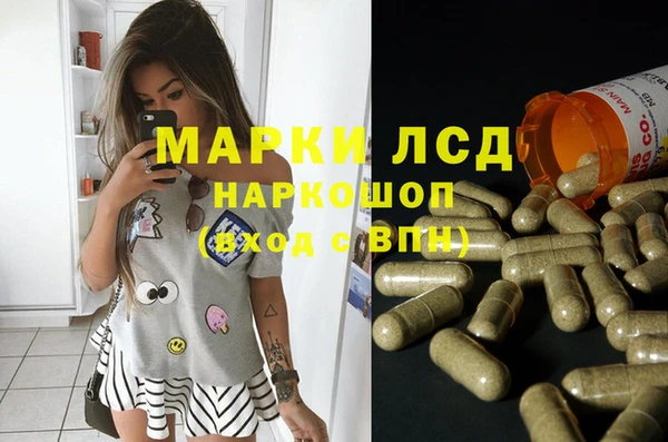 ешки Новокубанск