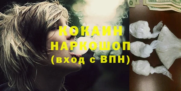 СК Новозыбков