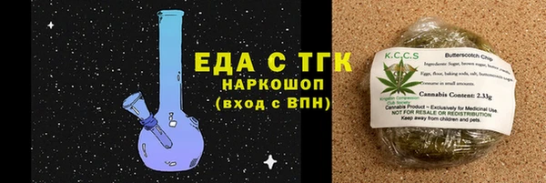 СК Новозыбков