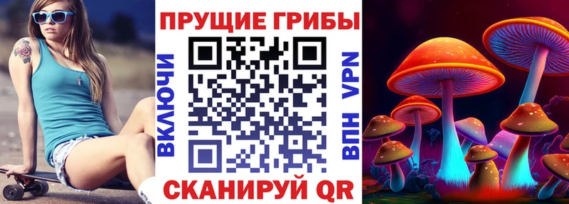 Купить  Инсар  Галлюциногенные грибы Psilocybine cubensis 