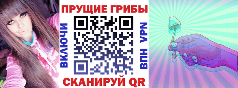 Псилоцибиновые грибы мицелий Инсар